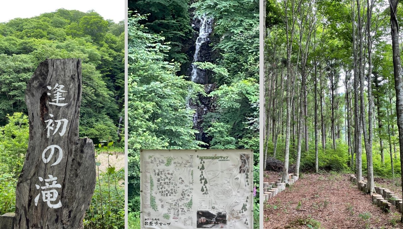 逢初（あいそめ）の滝までの散策路