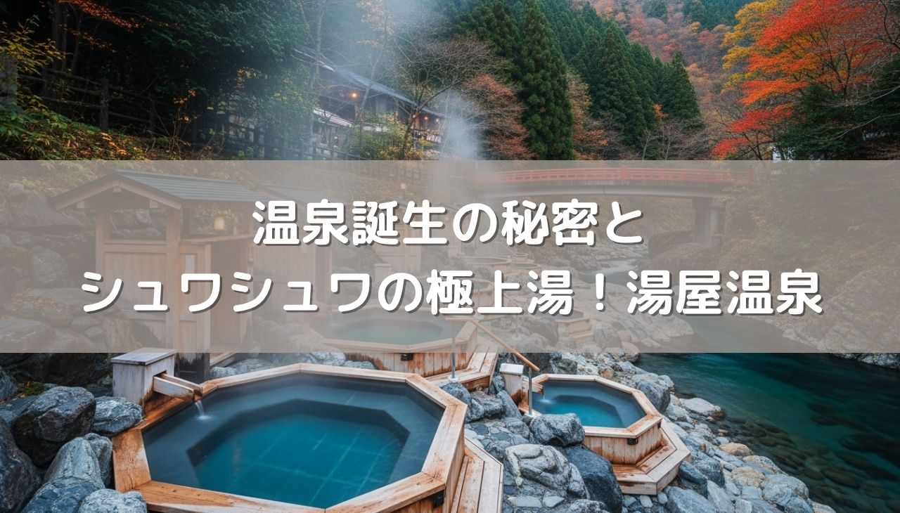 【大地のロマン】温泉誕生の秘密とシュワシュワ極上湯の「湯屋温泉」