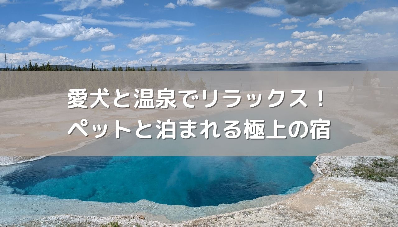 愛犬と温泉でリラックス！ペットと泊まれる極上の宿