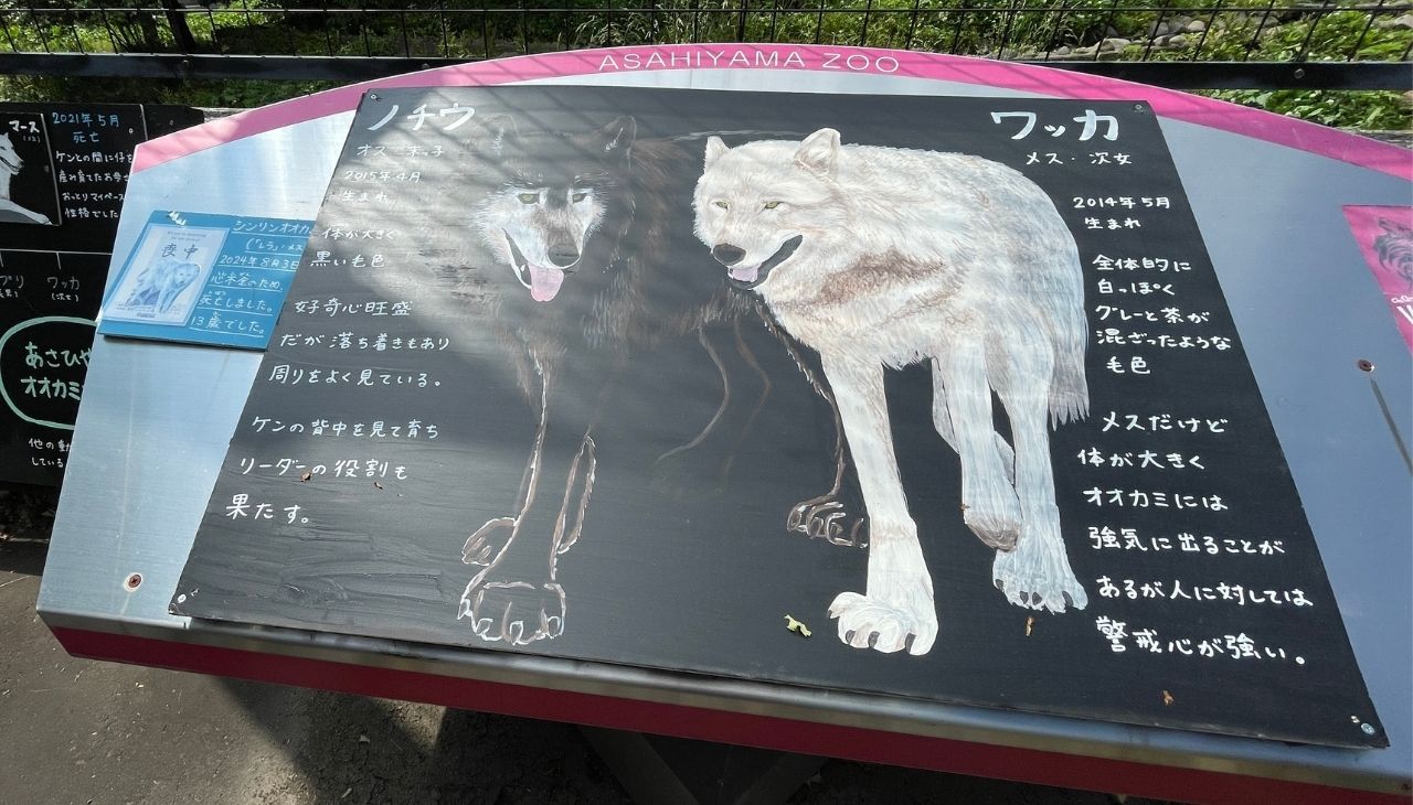 ニホンオオカミ