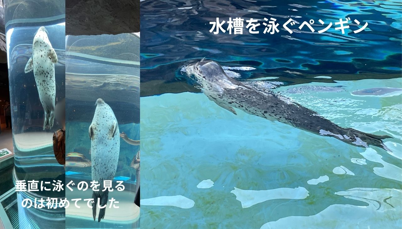 ペンギン