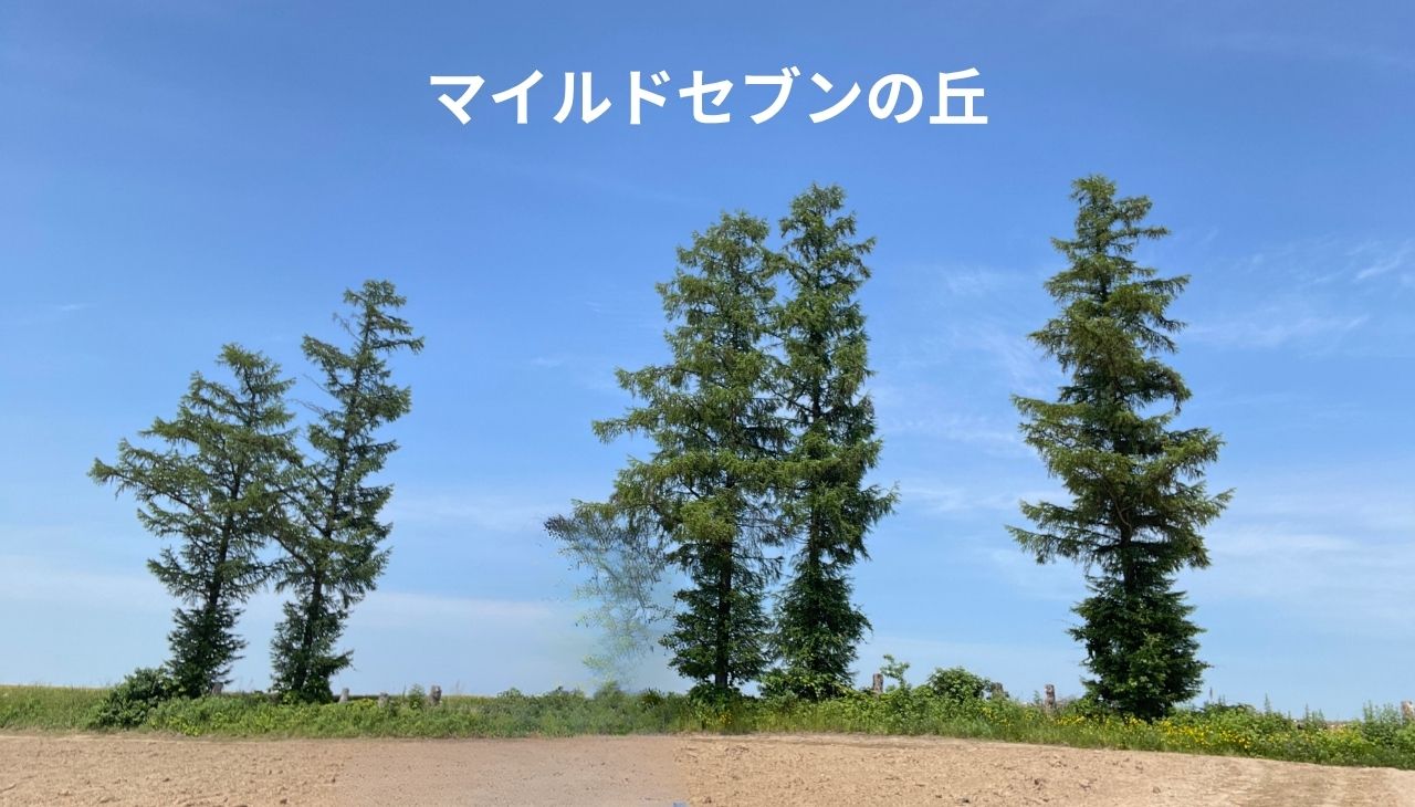 マイルドセブンの丘