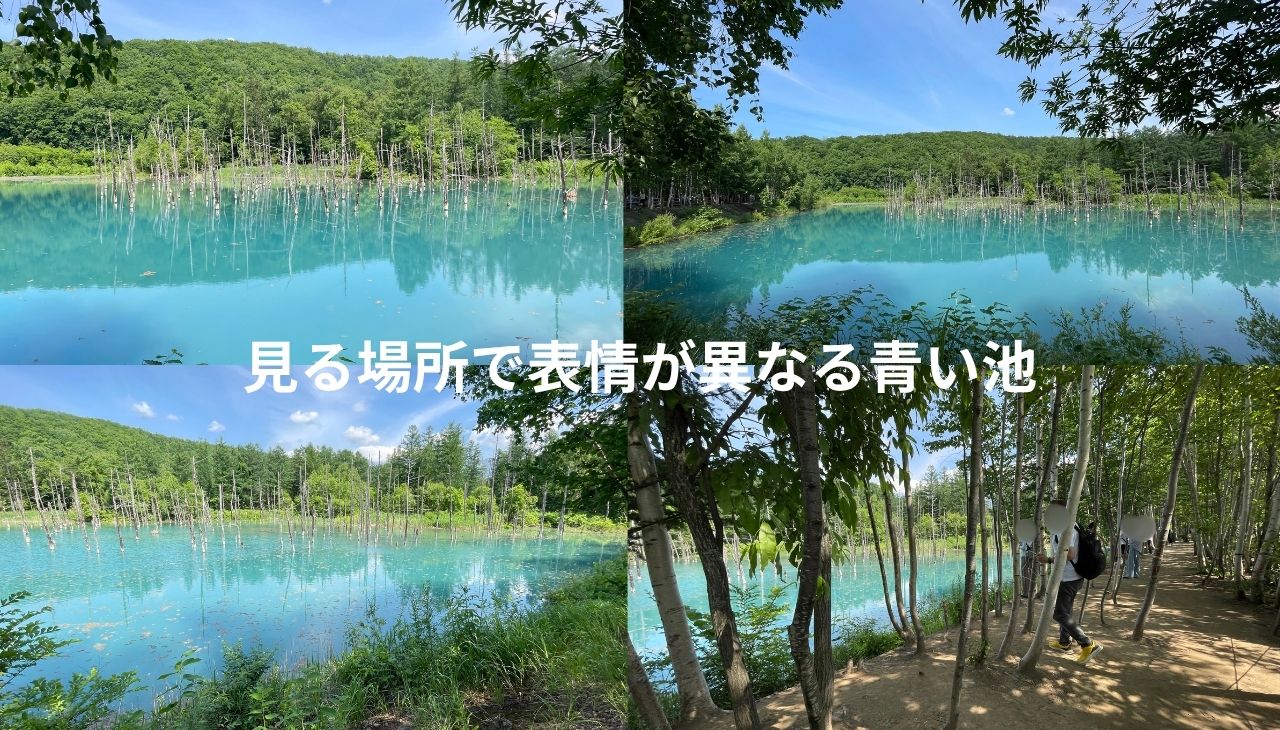青い池