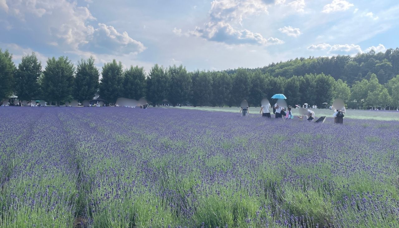 富田ファーム