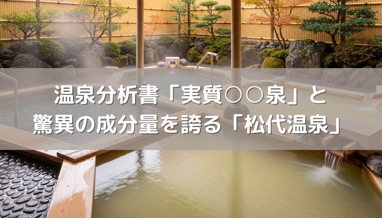 温泉分析書で読み解く「実質○○泉」と驚異の成分量を誇る「松代温泉」