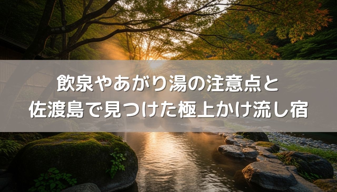 温泉分析書の新常識！飲泉やあがり湯の注意点と佐渡島で見つけた極上かけ流し宿