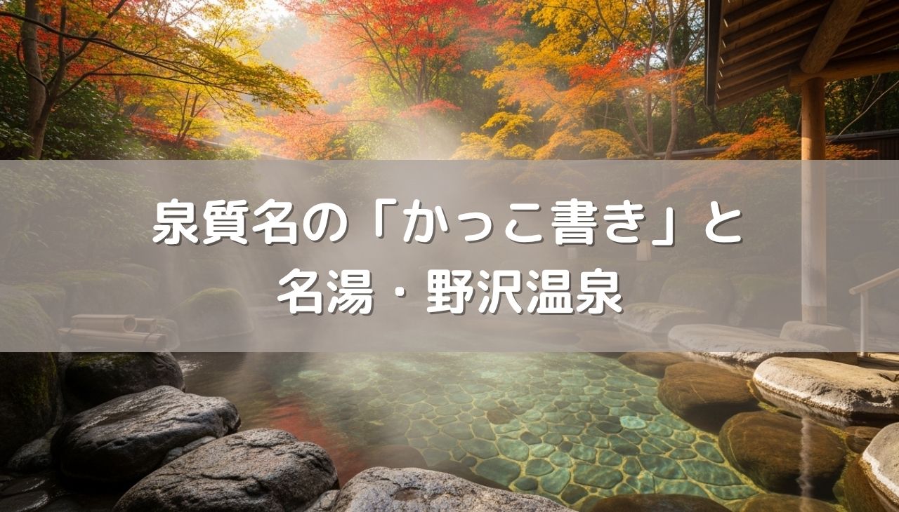 泉質名の「かっこ書き」と名湯・野沢温泉