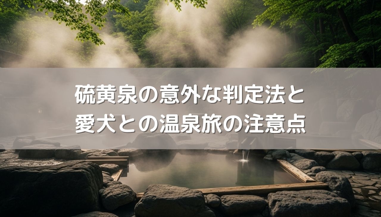硫黄泉の意外な判定法と愛犬との温泉旅の注意点