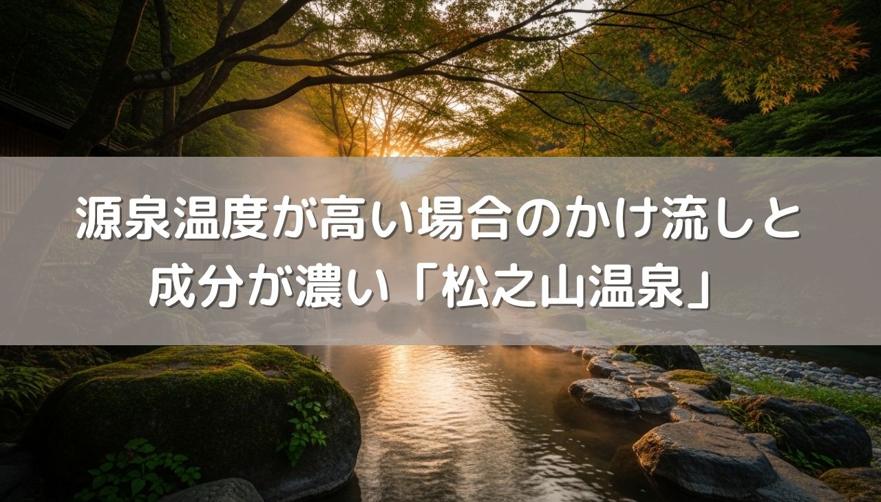 源泉温度が高い場合のかけ流しと成分が濃い「松之山温泉」