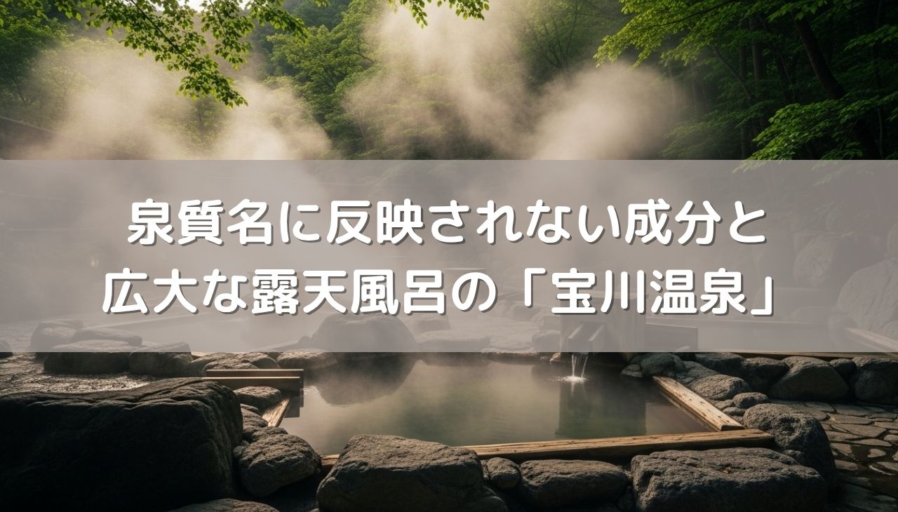 泉質名に反映されない「二軍選手」成分が実はすごい！メタけい酸・メタほう酸・炭酸イオンの効果と広大な露天風呂の「宝川温泉」