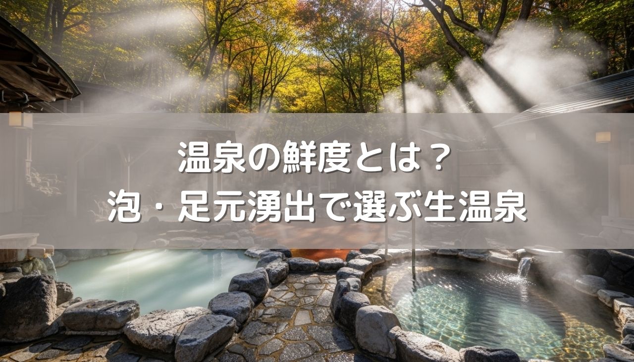 温泉の鮮度とは？『泡』と『足元湧出』で選ぶ、酸化を知らない究極の「生温泉」
