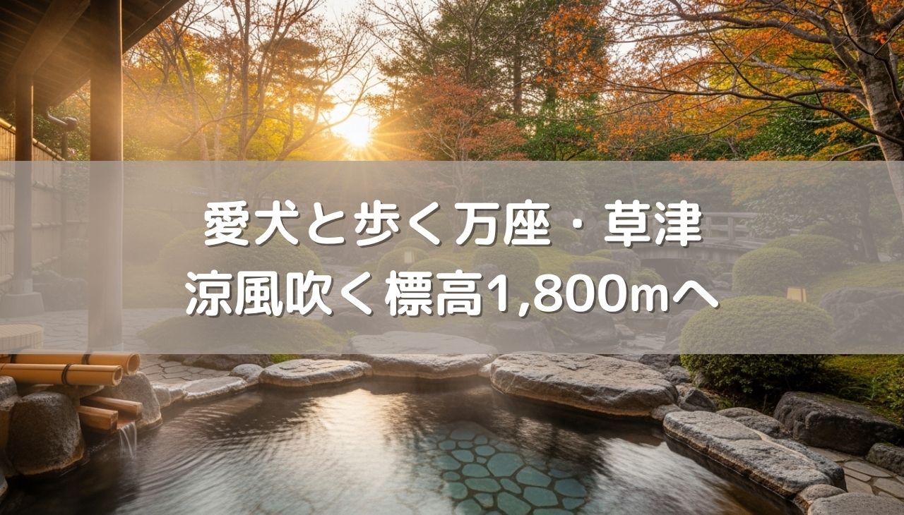 涼風吹く標高1,800mへ！愛犬と歩く万座・草津の「本格泉質」巡り。お散歩コース完備の宿選びのコツ