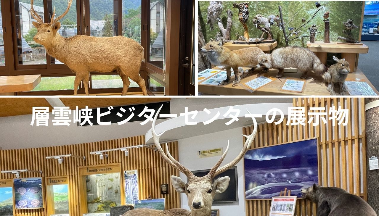 層雲峡ビジターセンター