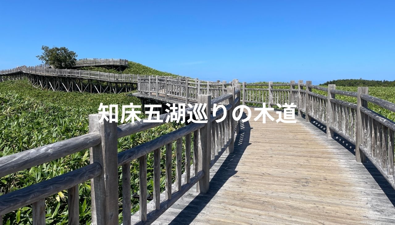 知床五湖のネイチャーガイド付きウォークツアー